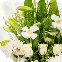 هدوء النقاء