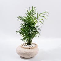 لمسة الحياة