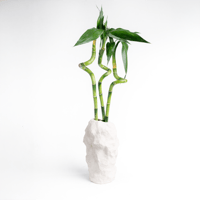 بامبو الهمس