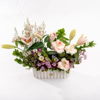 أصداء التوليب