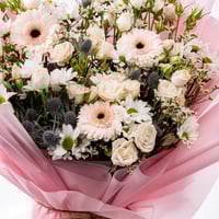 نعومة الورد