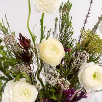 روعة الراننكولس