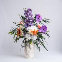 رونق الأوركيد