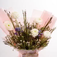 رقة الراننكولس