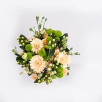 جاذبية الربيع