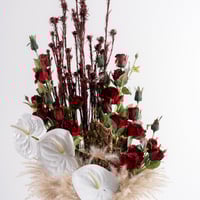 همسة أنثوريوم