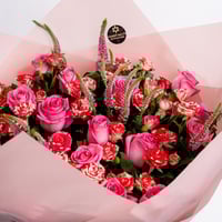 لهفة القرمزي