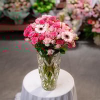 جربيرا الندى