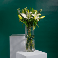 بياض السكون