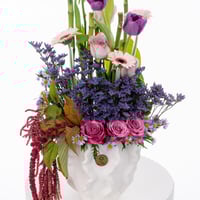 توليب بنفسج