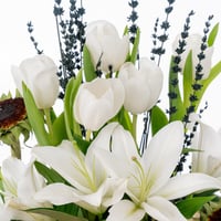 لِين الطبيعة