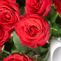 الهيام الأحمر