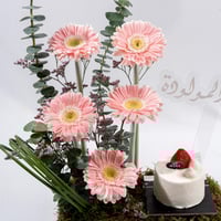 رقة الجربيرا