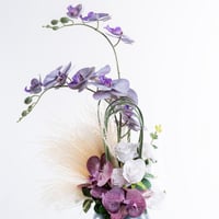 ارجوان النقاء