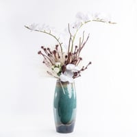 أنسام الأوركيد