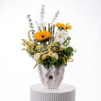 تناغم الدوّار والبابونج