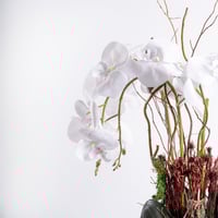 سكينة الياسمين