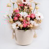 نبض الأنوثة