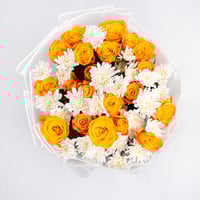 نور البرتقال