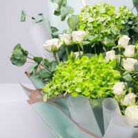 لحن الهايدرا والجوري