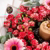 سحر الأوكاليبتوس