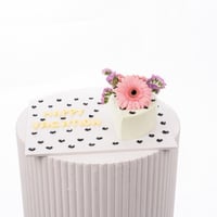 كيكة جربيرا العطلة