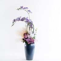 ارجوان النقاء