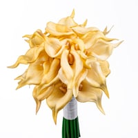 كالا الذهبية