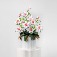 أنسام الربيع