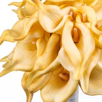 كالا الذهبية