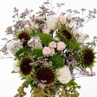 أناقة خضراء