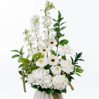 سمفونية الديليفينيوم الأبيض