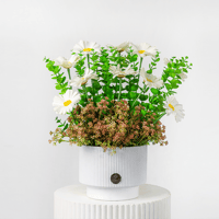 همسات الربيع