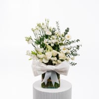 جوري الصفاء الأبيض