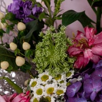 ندى البنفسج