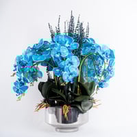 سحر الأزرق الملكي