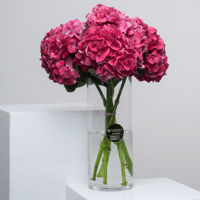 شغف الهيدرنجا