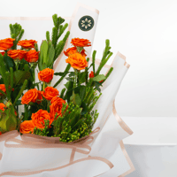 سبراي الغروب