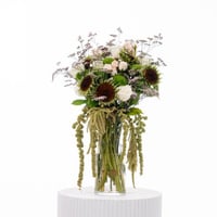 أناقة خضراء