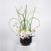 نسمات الياسمين