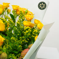 ابتسامة الشمس