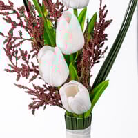 قلب التوليب