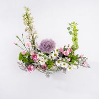 حقول الأقحوان