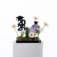 جربيرا التخرج