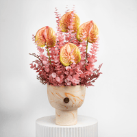 وهج الأنثوريوم