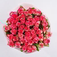 نبض الورد الثنائي