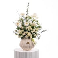 نقاء اللوتس