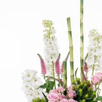 سيمفونية الهيدرنجا والسبراي