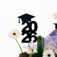 جربيرا التخرج