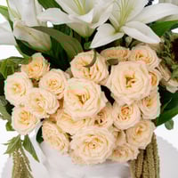 لِين الطبيعة